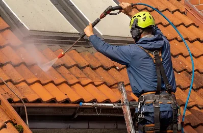 Démoussage et hydrofuge de toiture à Arget